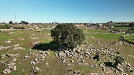 Hervorragende-Aussicht-Auf-Ein-Zerstörtes-Haus,-Umgeben-Von-Granitfelsen-Und-Einer-Steineiche