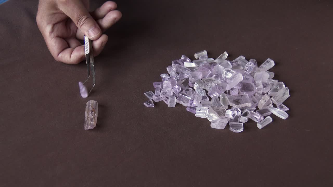 보석학자가 핀셋을 사용하여 쿤자이트에 대한 스포듀민을 분류합니다.