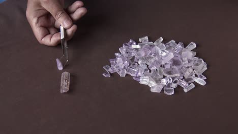 usando pinzas, un gemólogo clasifica la espodumena en busca de kunzita