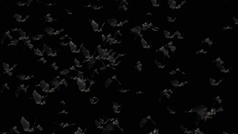 swarm of bats