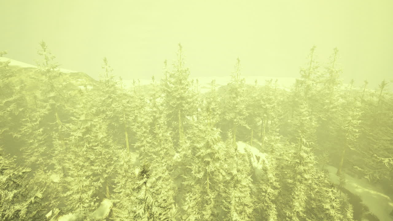 Snow covered forest under a hazy yellow sky in winter landscape