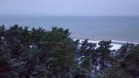 aerial establishing view of baltic sea coast on a overcast winter day with green coastal fisherman boat, beach with white sand covered by snow, wide angle drone shot moving forward