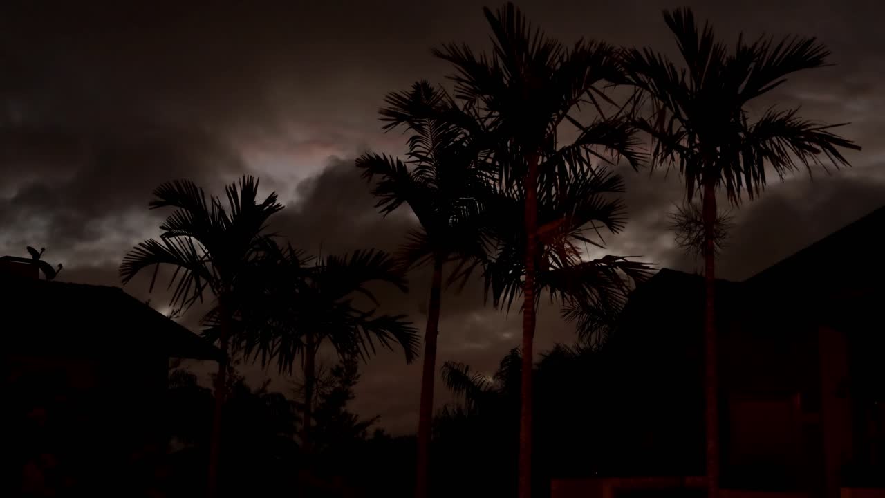 lapso de tiempo de las nubes que pasan detrás de los árboles de silueta oscura durante la puesta de sol con todo oscureciendo