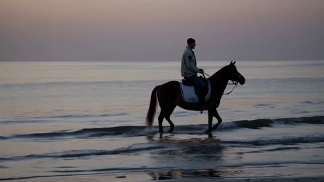 man riding a horse in the ocean at sunrise/sunset