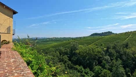 panoramic view of vineyards in cuneo, italy