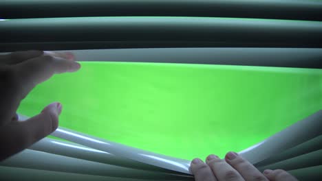 4k . hand open the jalousie. green screen