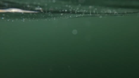 imágenes submarinas del río willamette en springfield, oregon