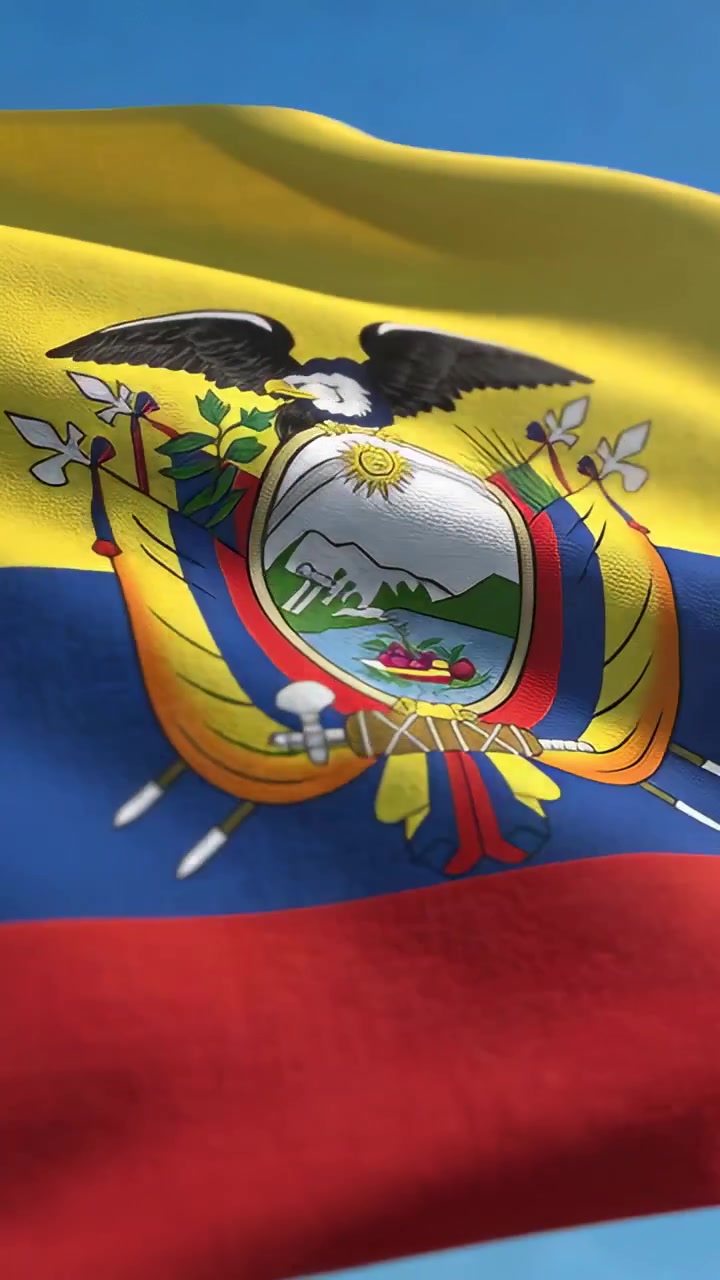 Video verticale: Bandiera dell'Ecuador che sventola, mostrando lo stemma con il condor contro il cielo, increspata dalla brezza.
