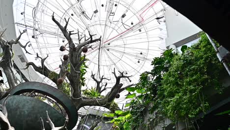 an inside view of the indoor rainforest in dubai, united arab emirates