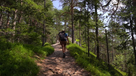 Back-of-male-hiker-walking-through-needle-forest-in-Europe-during-bright-day