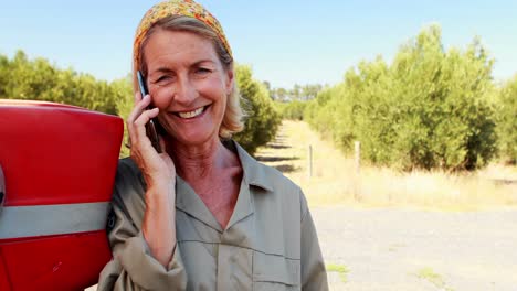 Glückliche-Frau,-Die-In-Der-Olivenfarm-4k-Mit-Dem-Mobiltelefon-Spricht
