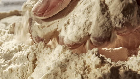 hand feeling the texture of wheat flour, ready for baking, close up