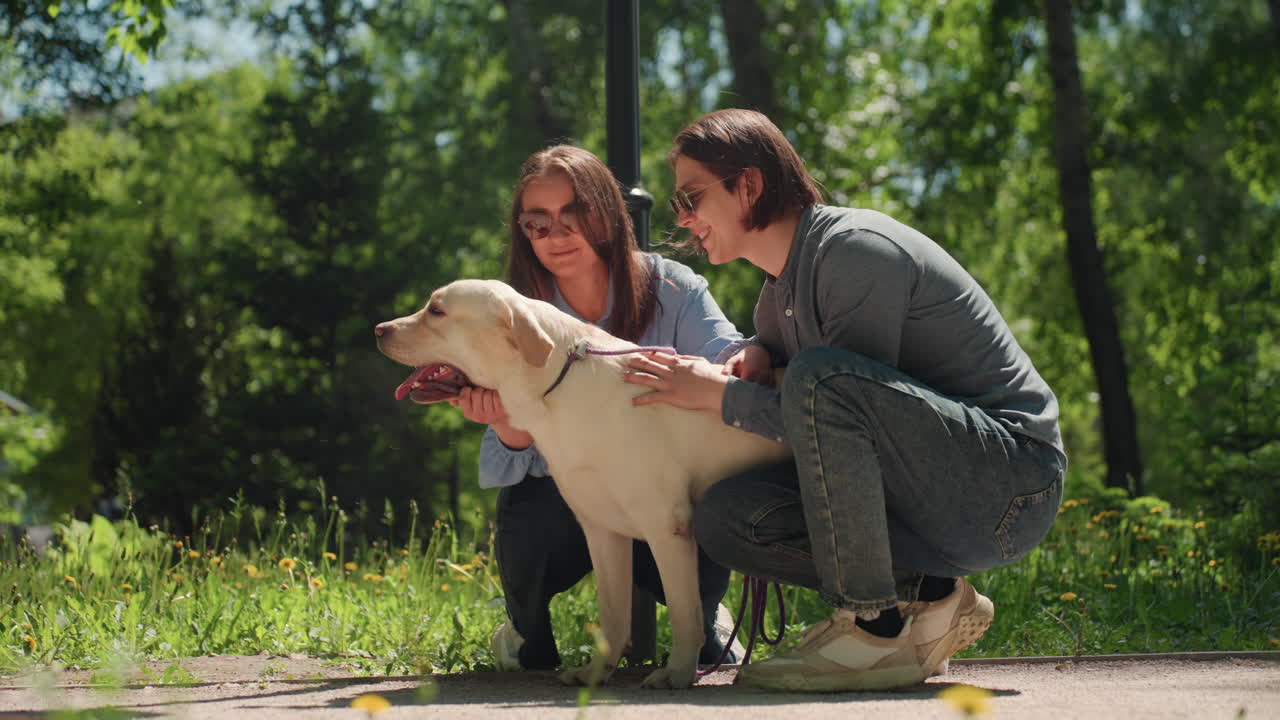 alegre reunión llena de alegría, risas compartidas en un prado soleado, amigos estrechando lazos en un cálido día al aire libre, escena alegre de amigos conectando íntimamente con un labrador bajo la luz del sol y la vegetación