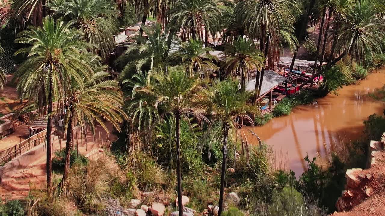 Vista aerea di palme e verde nel paesaggio del Marocco.
