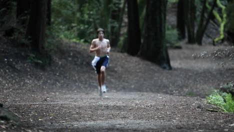 a shirtless man runs in a forested area