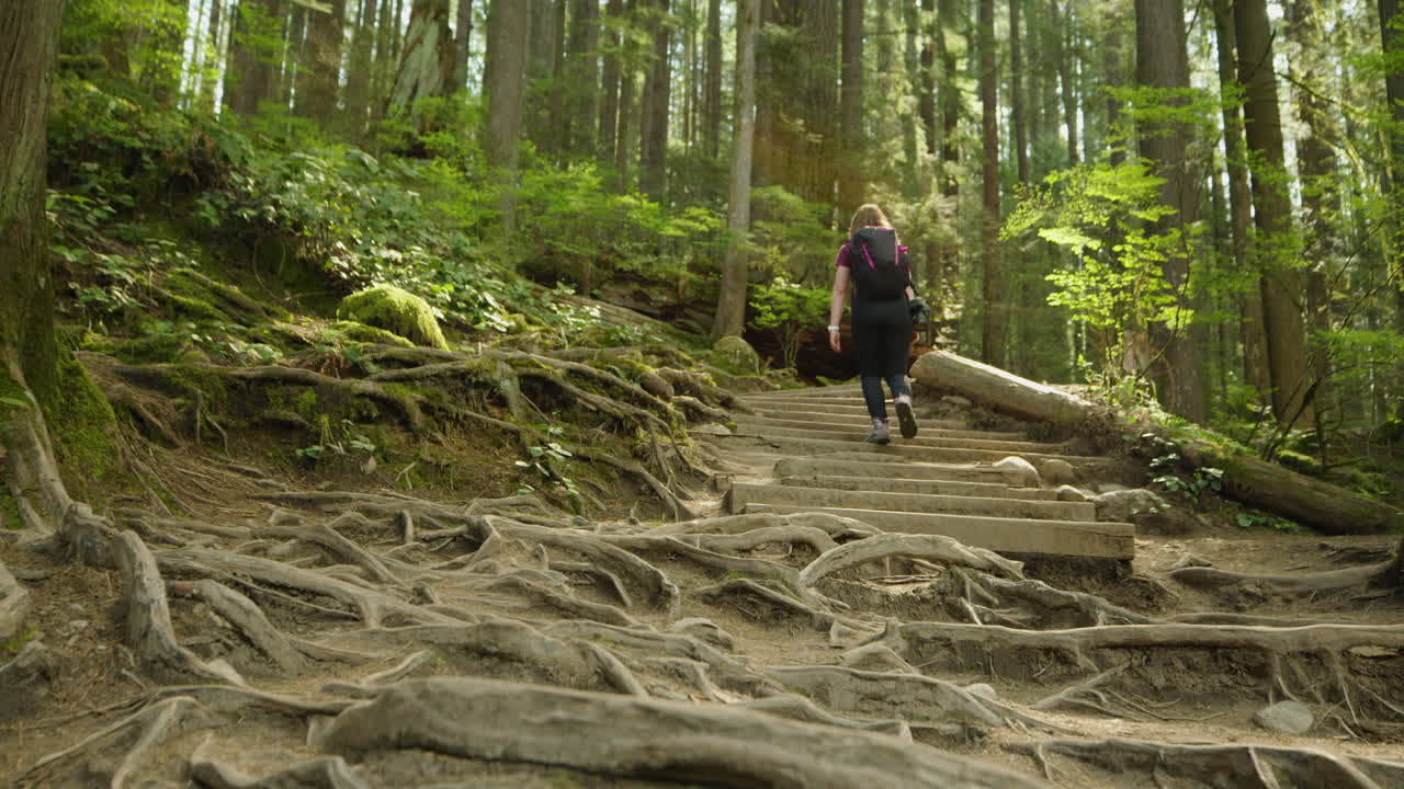 mujer subiendo escaleras en un sendero empinado en el parque lynn canyon