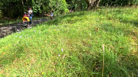 adults and a child with a stroller walk along a sunlit garden path surrounded by wildflowers and greenery, with steady camera movement and natural lighting