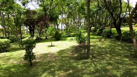 áfrica verde hierba verde bio orgánico bajo desperdicio agricultura inteligente - unión familiar tiempo unión kenia áfrica covid 2020-2021 distanciamiento social 2020 año nuevo 2021