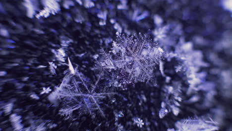 macro shot of unique snowflakes expanding with cold, close up shot