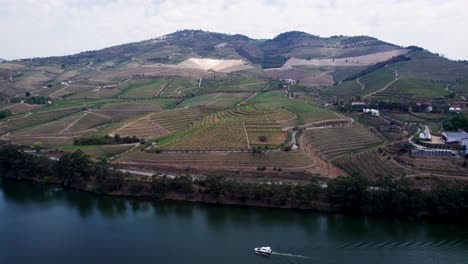 boat cruising on douro river in portugal below vineyard hill terraces