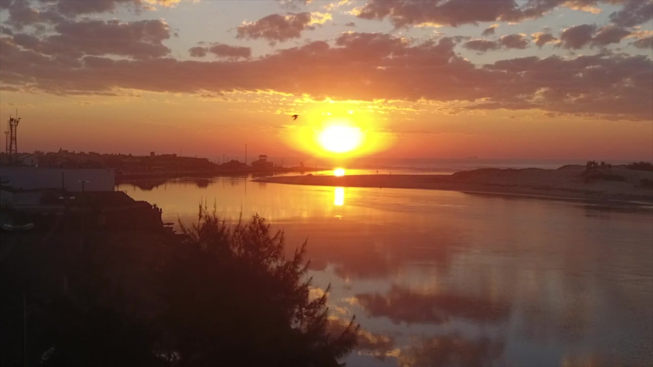 Alba sul fiume e sull'oceano con un uccello