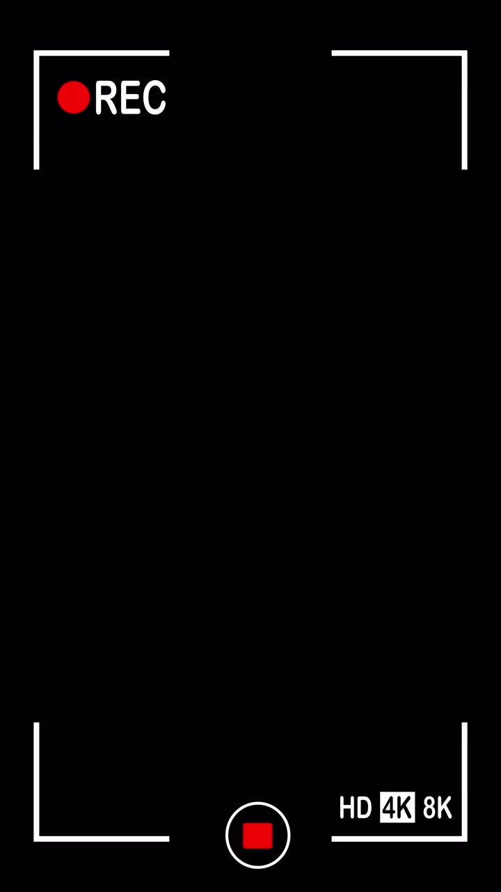 Digital Camera Recording Interface Overlay