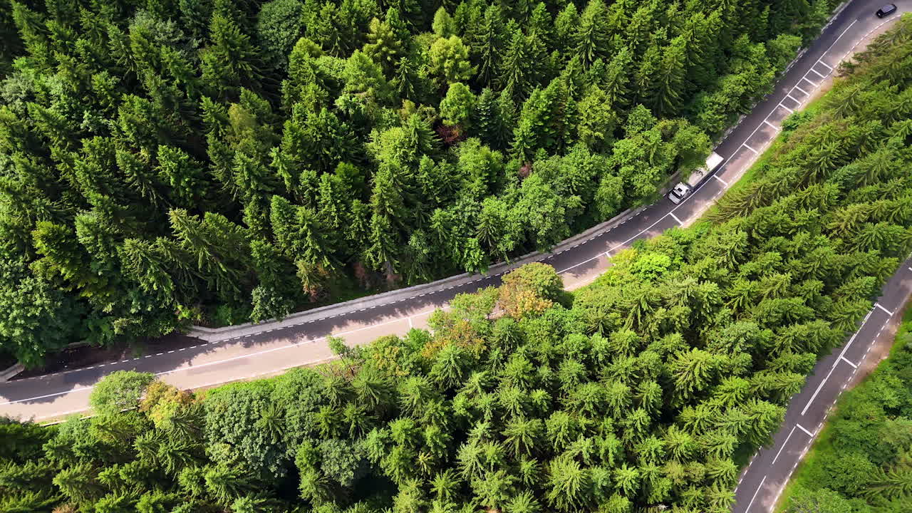 Twisting mountain road through dense conifer forest. Cars follow sharp mountain turns surrounded by tall green conifers
