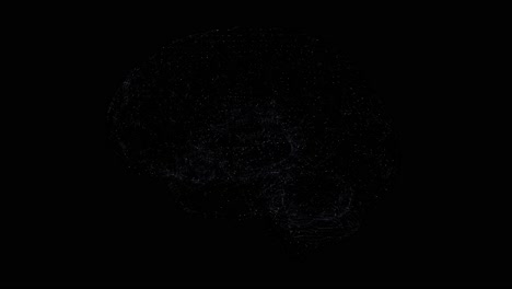 brain emerging from a complex network - 3d animation loop