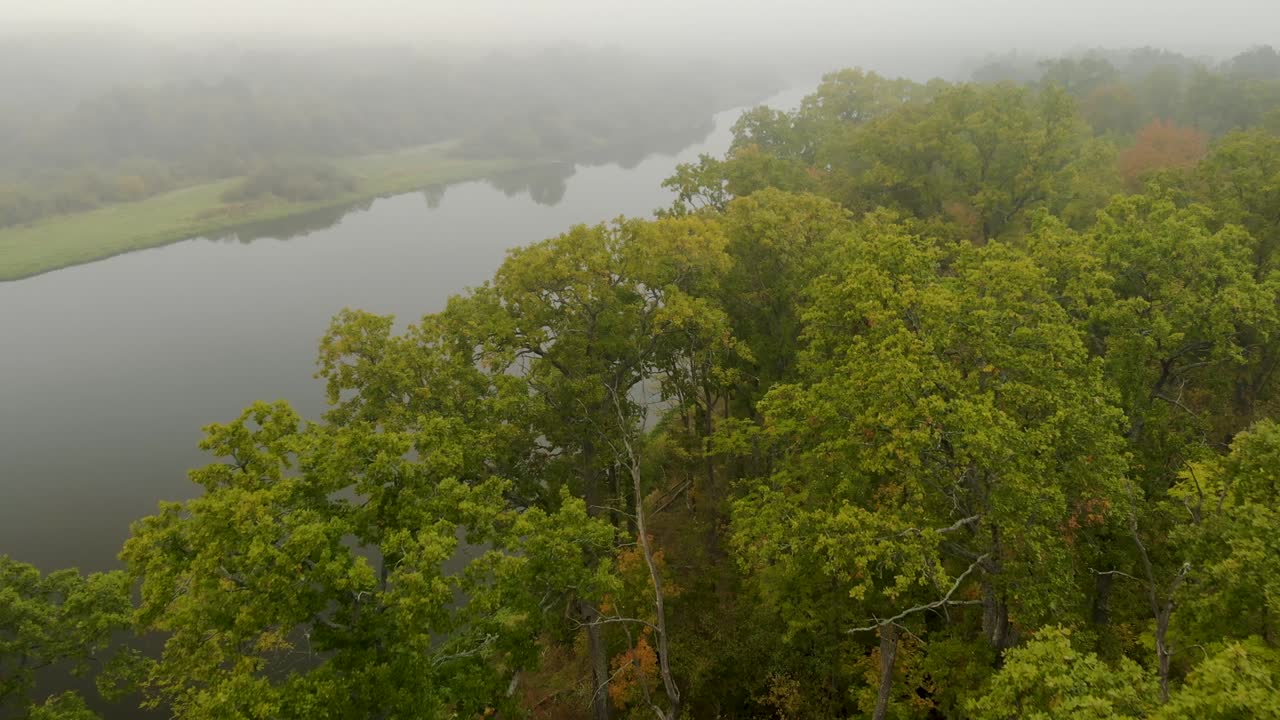 aéreo: vuelo sobre las ramas de un roble verde en el bosque en el fondo de un río de otoño nebuloso