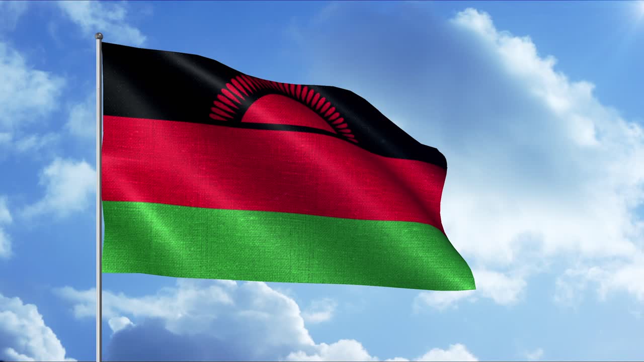 바람에 흔들리는 말라위 발