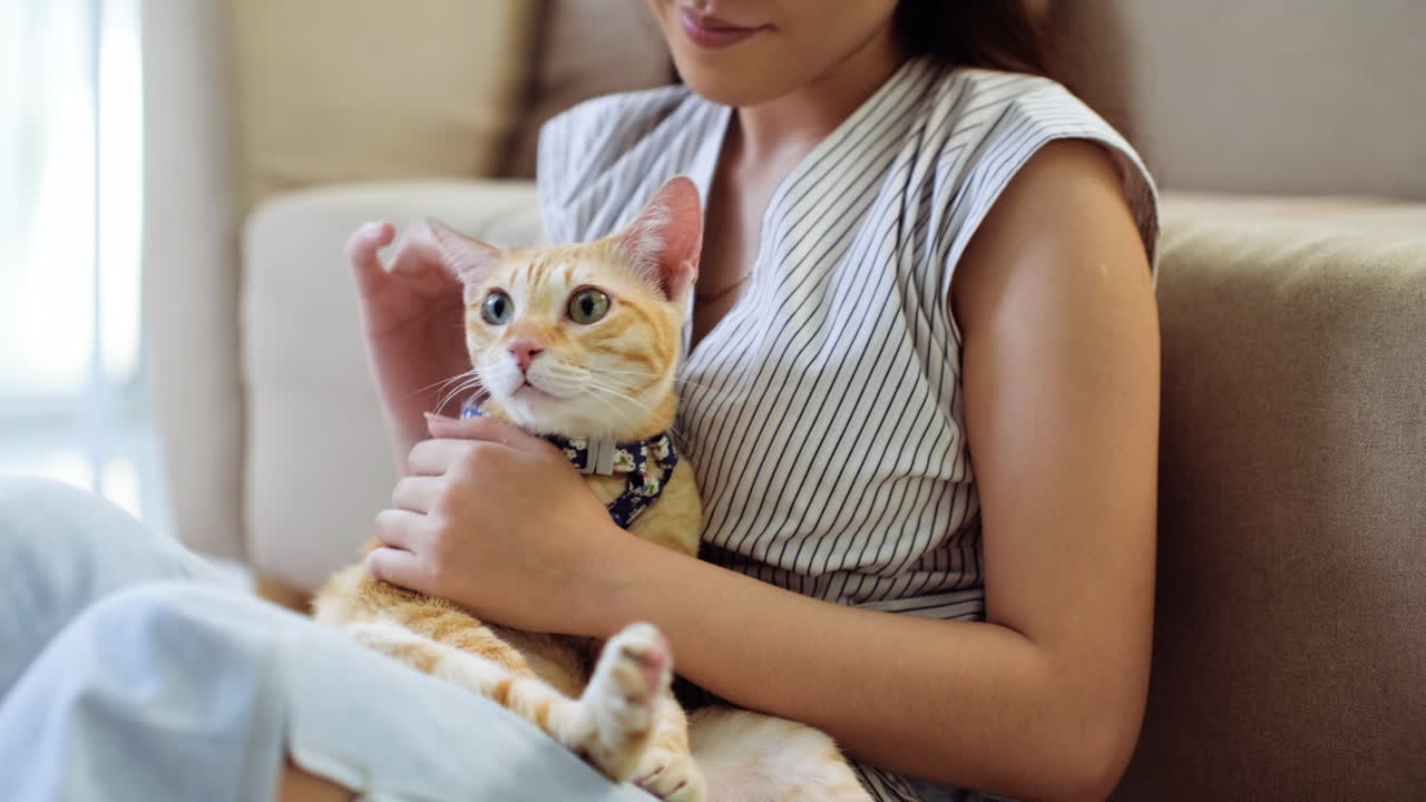 Woman petting a cat