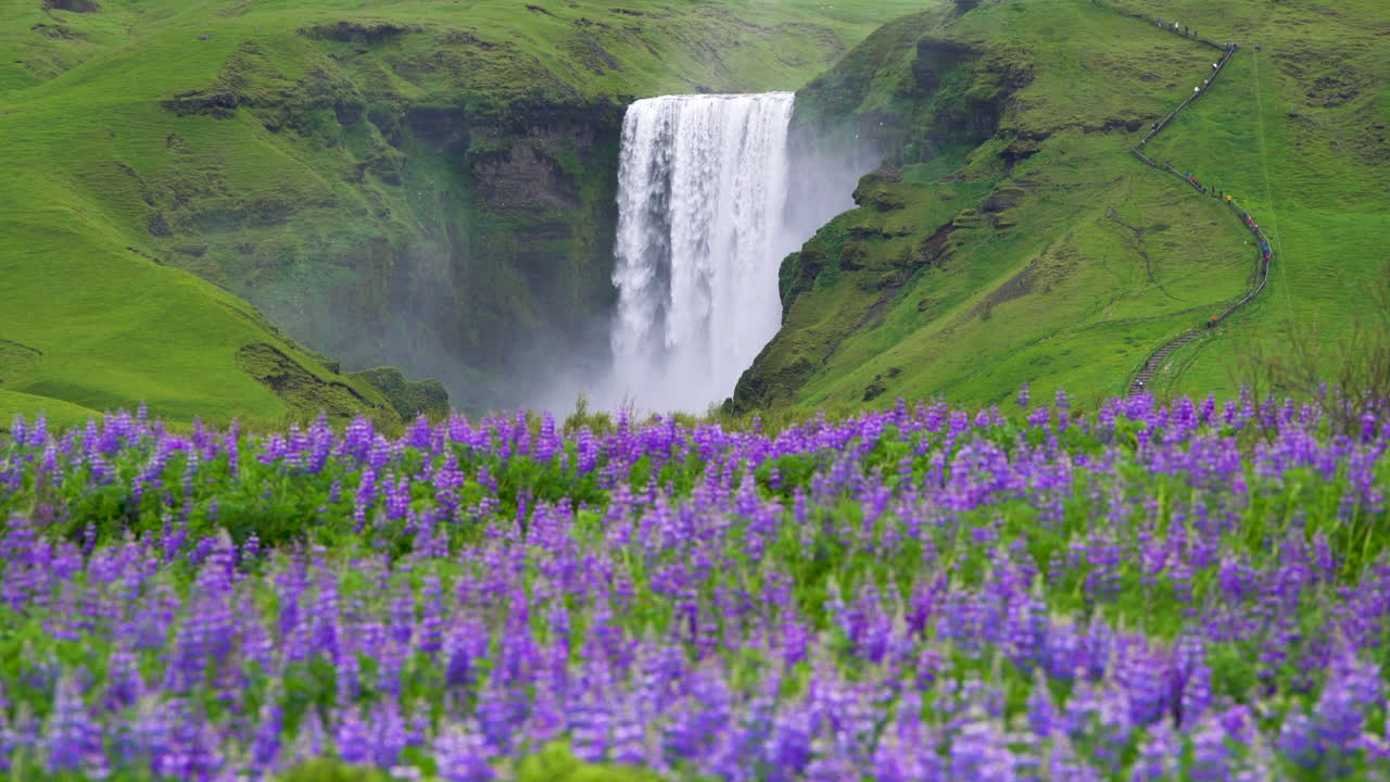 la cascada de skogafoss en islandia en verano.