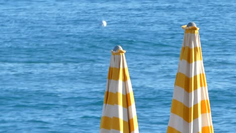 closeup of umbrellas on the beach