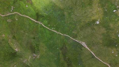 top-down aerial shot of a winding trail cutting through lush green alpine meadows in the dolomites, with hikers visible on the path