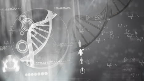 animation of dna strand spinning over data processing