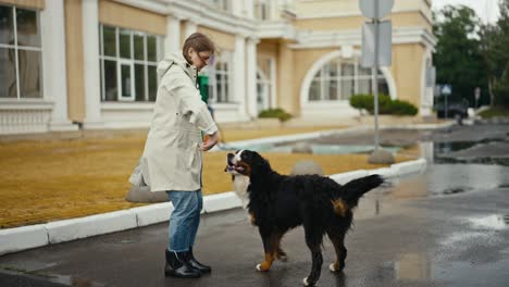 Una-Mujer-Rubia-Segura-De-Sí-Misma-Con-Una-Chaqueta-Blanca-Entrena-A-Su-Gran-Perro-De-Raza-Pura,-Blanco-Y-Negro,-En-El-Parque-Después-De-La-Lluvia