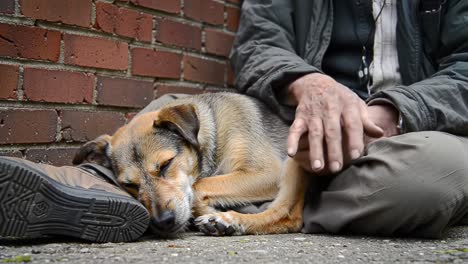 a heartfelt moment between a person and their loyal canine companion, nestled together on the ground, showcasing the warmth and bond shared in a tranquil setting.