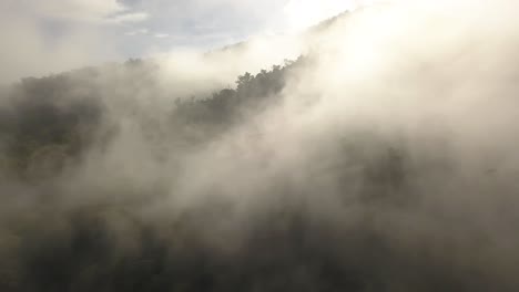 morgennebel über den ausläufern der berge