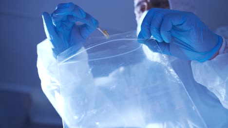 examinando las pruebas forenses y poniéndolas en bolsas de plástico. experto forense.