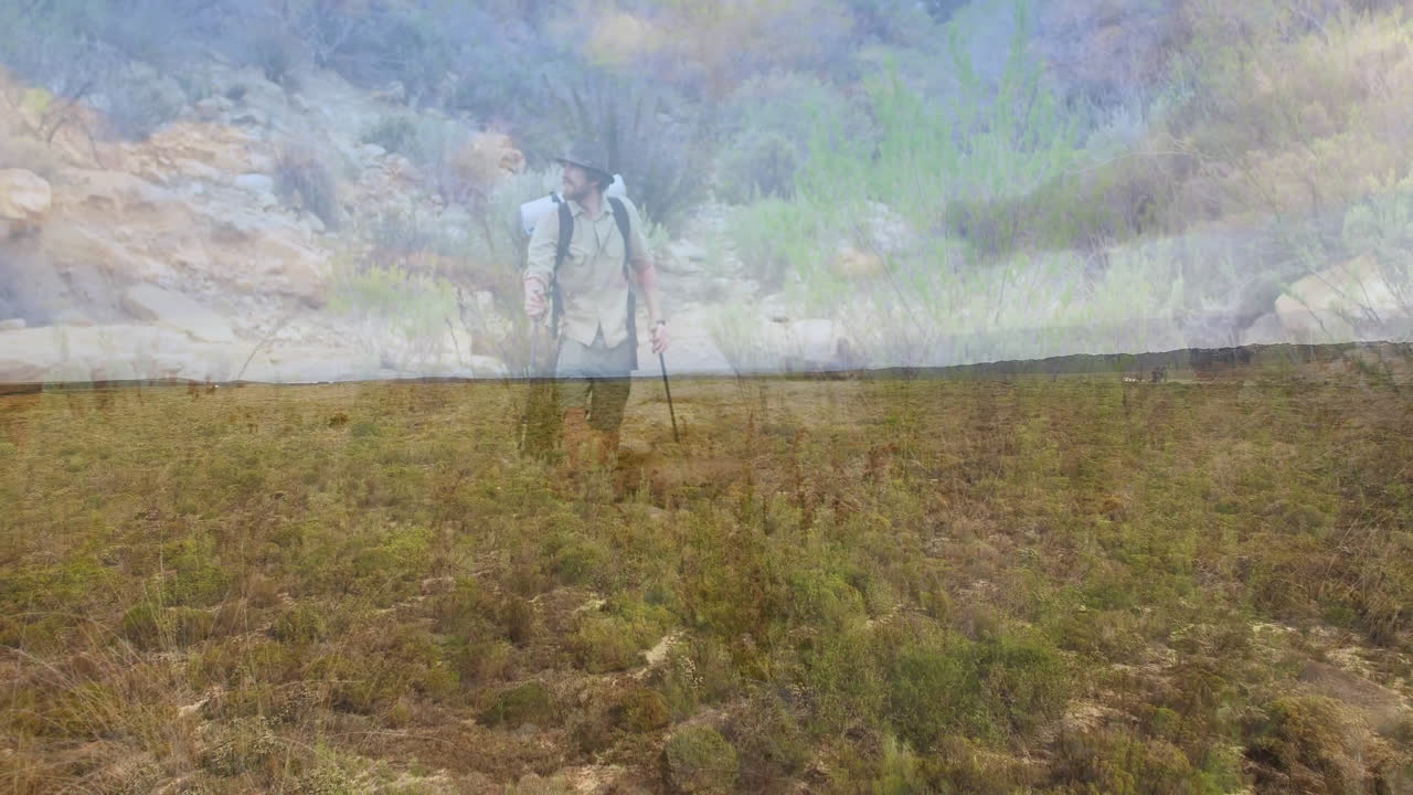 Male hiker trekking through canyon, showcasing health with animated heart icon and data graph