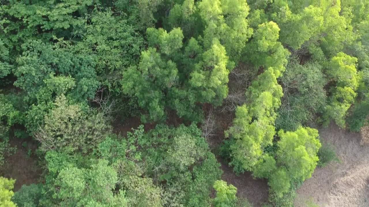 imágenes aéreas de tierras en la india. propiedad, india rural, tierras de cultivo