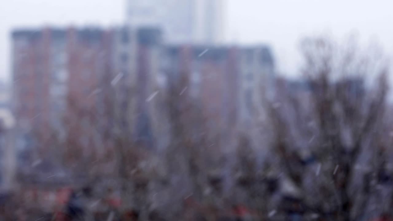 베오그라드, 세르비아의 도시에서 눈이 내렸습니다.