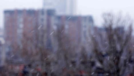 snowfall in city, belgrade, serbia