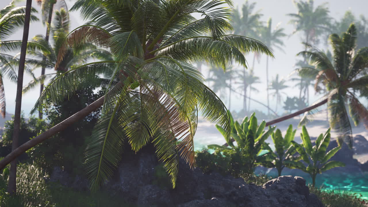 paisaje tropical sereno con palmeras y aguas azules claras al amanecer