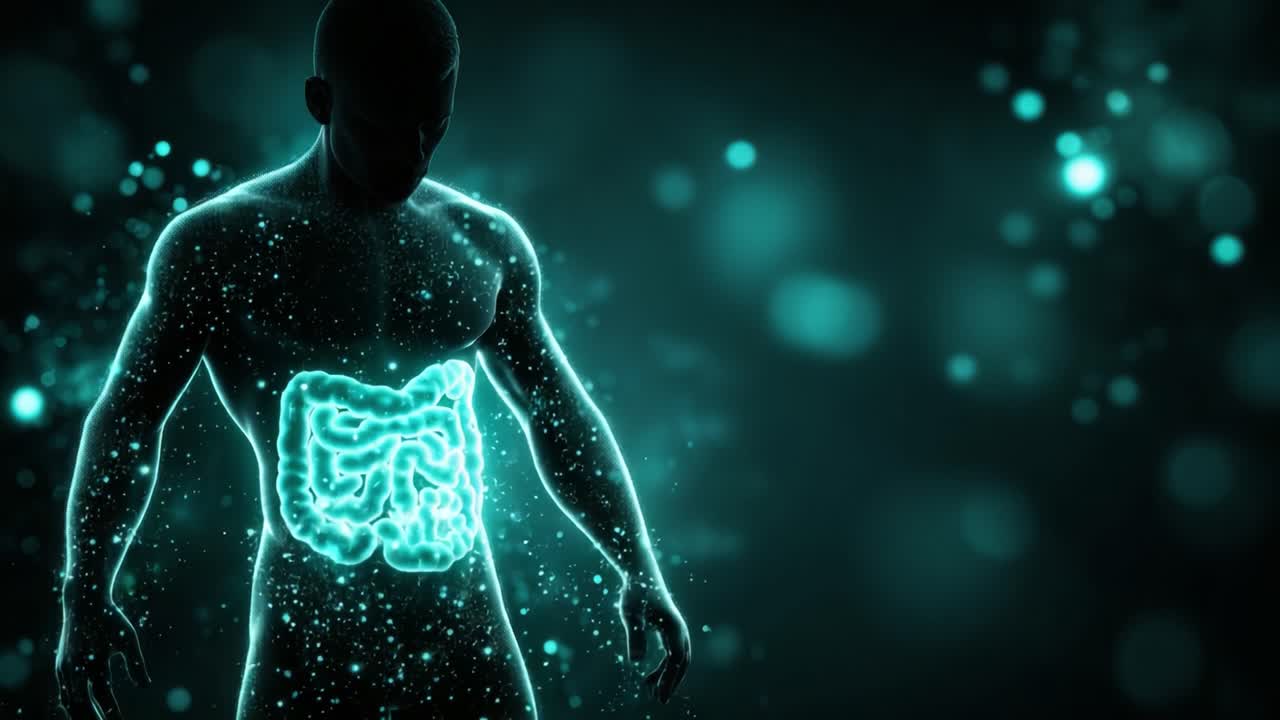 Exploring the Human Digestive System Through Artistic Visualization: A Deep Dive into the Intricate Dynamics of the Gastrointestinal Tract Represented in Glowing Graphics