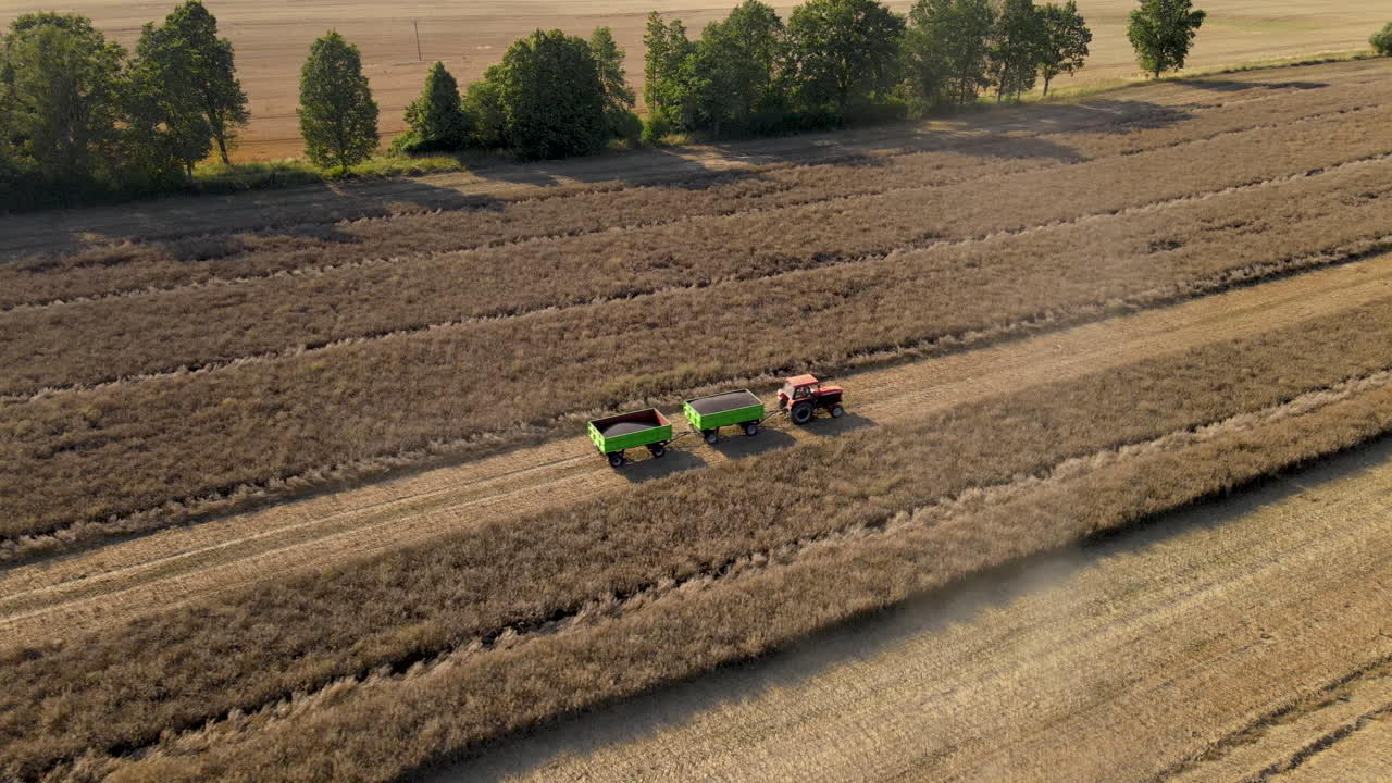 Aerial view of tractor in wheat field row with trailers on agricultural farmland
