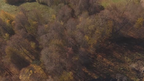 Multicolored Trees By The Winding River On A Sunny Autumn Day