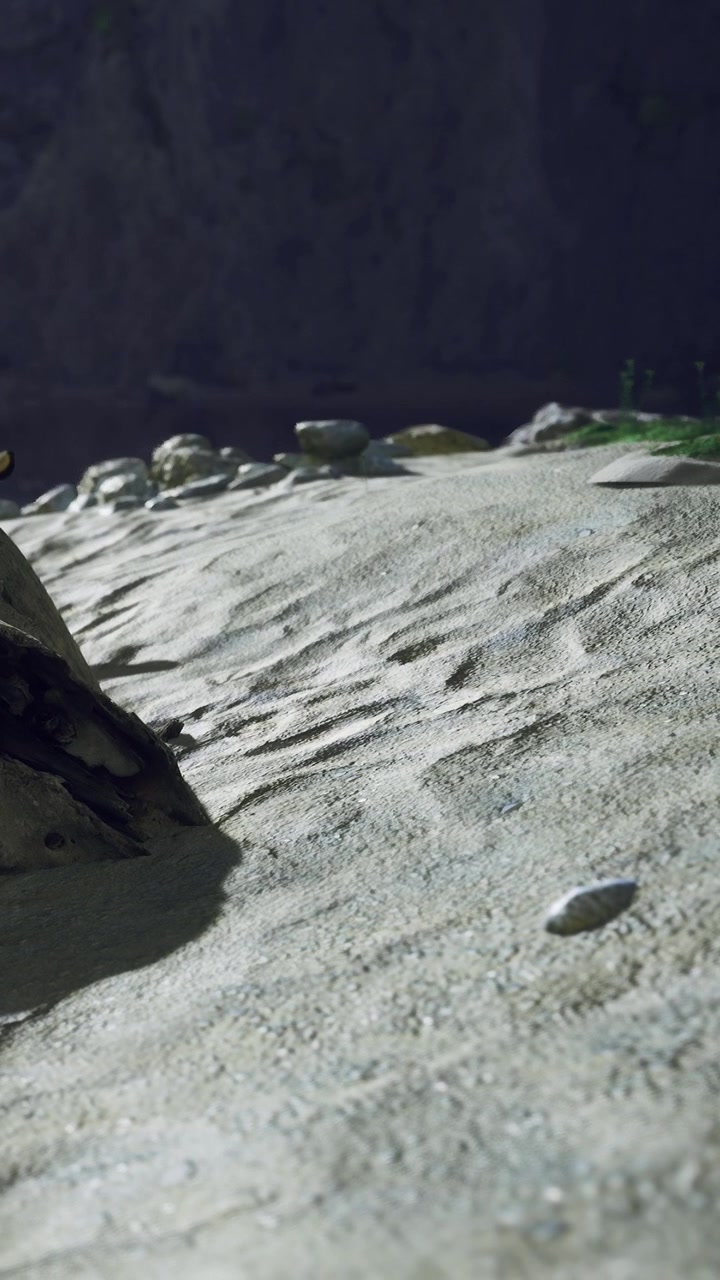 Sand surface with rocks and patterns in a natural setting during daylight