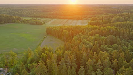 Aéreo:-Espectacular-Puesta-De-Sol-Sobre-Los-Bosques-Y-Campos-Rurales-En-Escandinavia