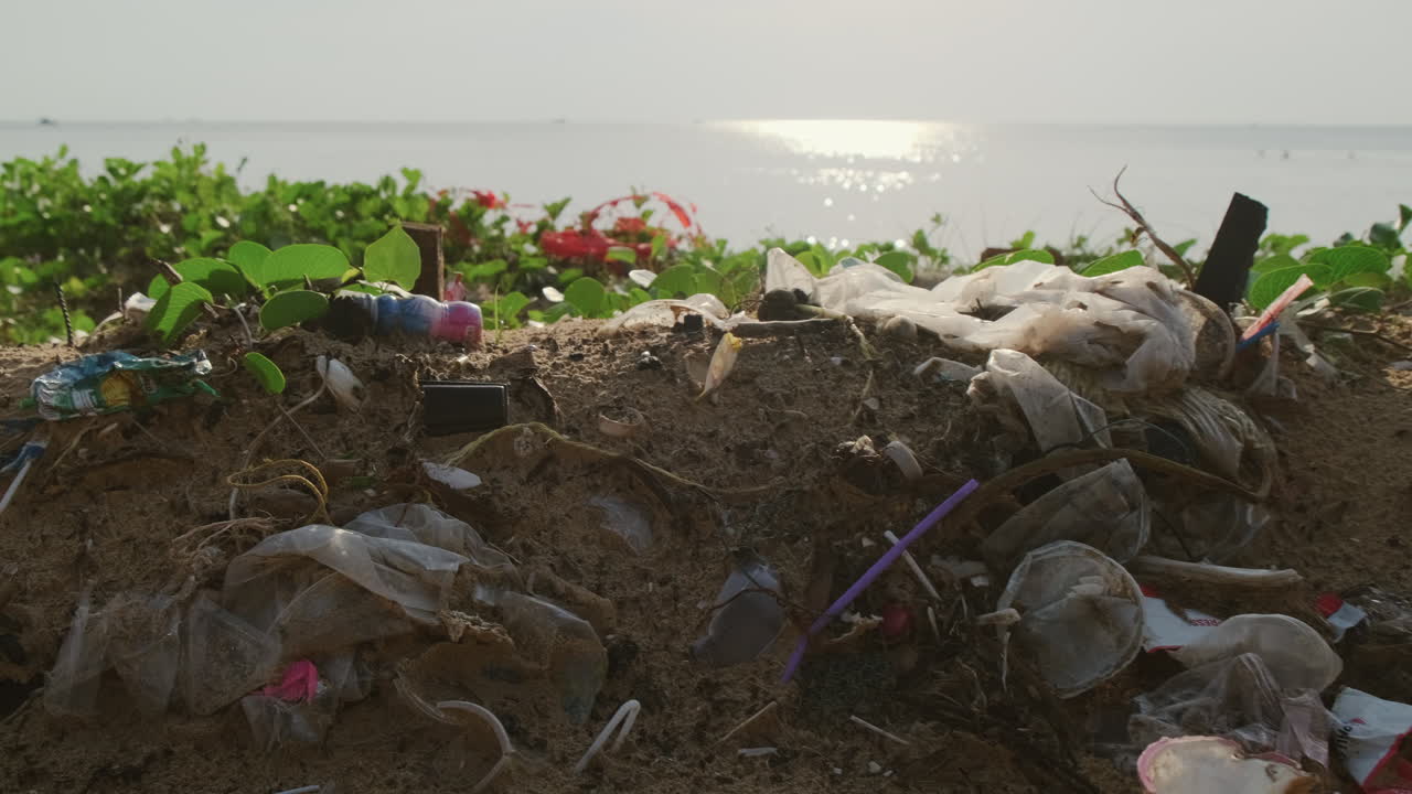 Plastic Pollution on a Beach